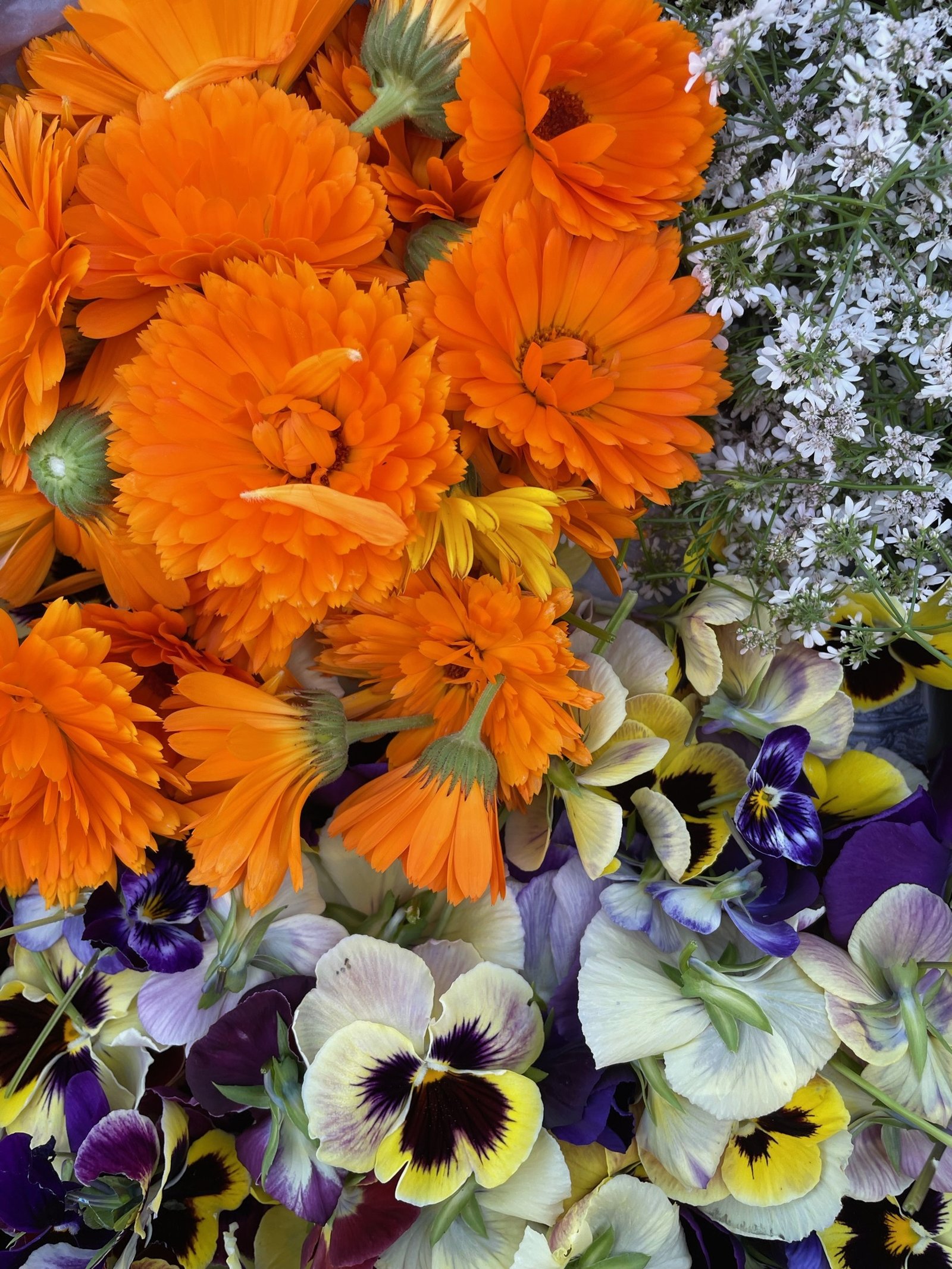 Kleurrijke mix van bloemen