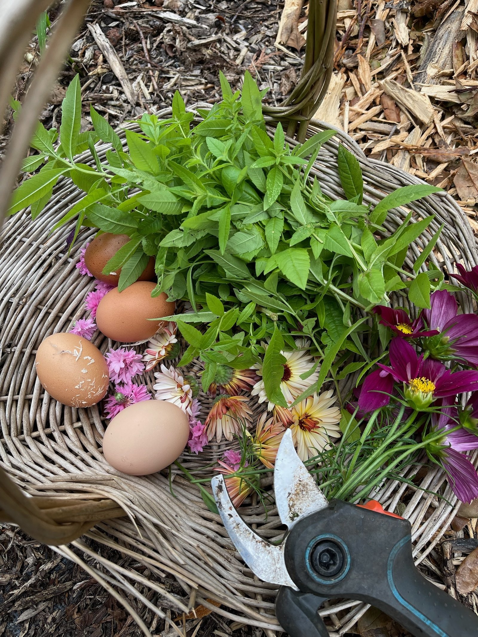 Oogstmand met eieren, kruiden en bloemen
